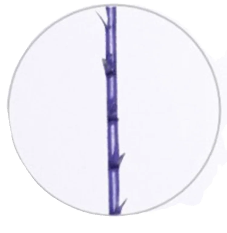 COG 3D 4D 6D 8D 19G 21G 100mm Pdo thread lift blunt canula