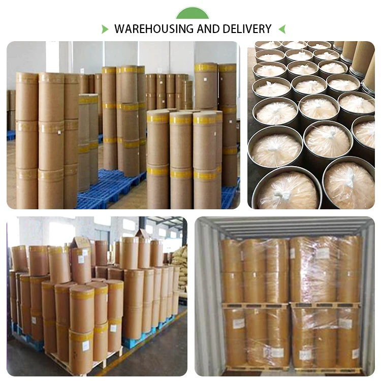 water soluble White Lentils Extract powder Hyacinth Bean Extract 10:1 for Cosmetic Industries&Food