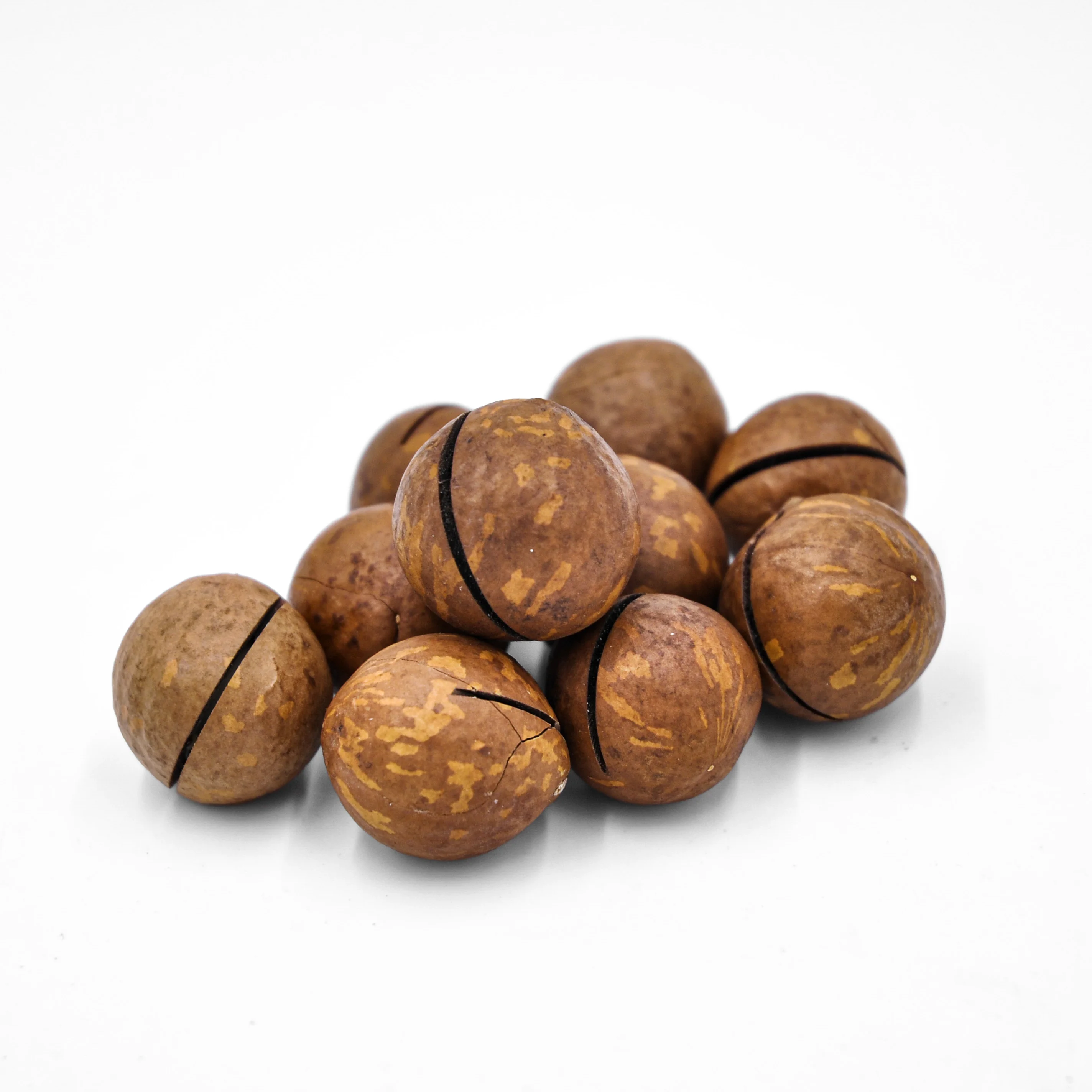 Wholesale Macadamia Nuts Factory Price Top grade Raw Macadamia Nuts (1600606480899)