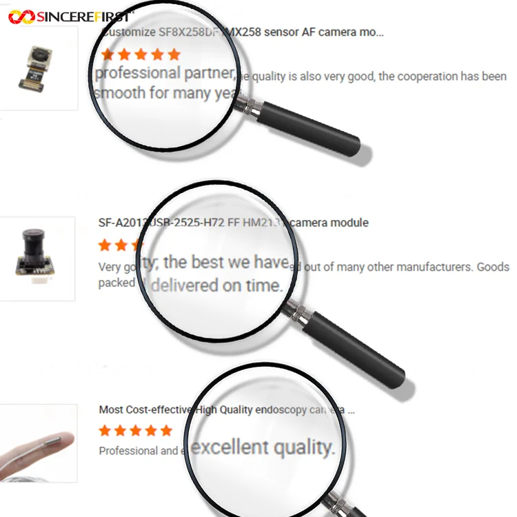 High Definition Micro Visual Otoscope Portable Ear Cleaning Wifi Industrial Endoscope Camera Module For Pet Treatment