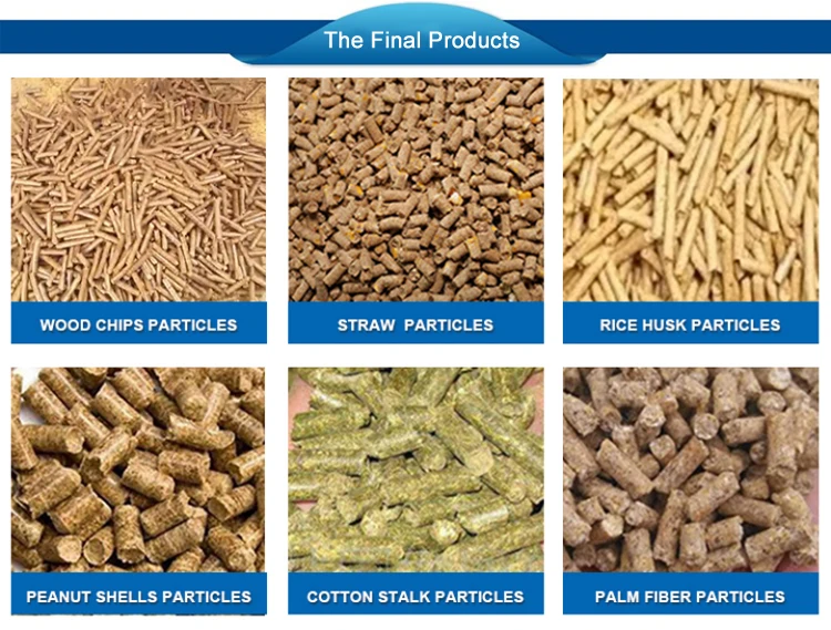 Peletizadora Rice Husk Wood Pellet Machine Biomass Fuel Wood Sawdust Straw Pellet Making Machine