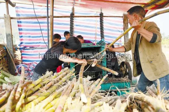 sugarcane juicer (12).png