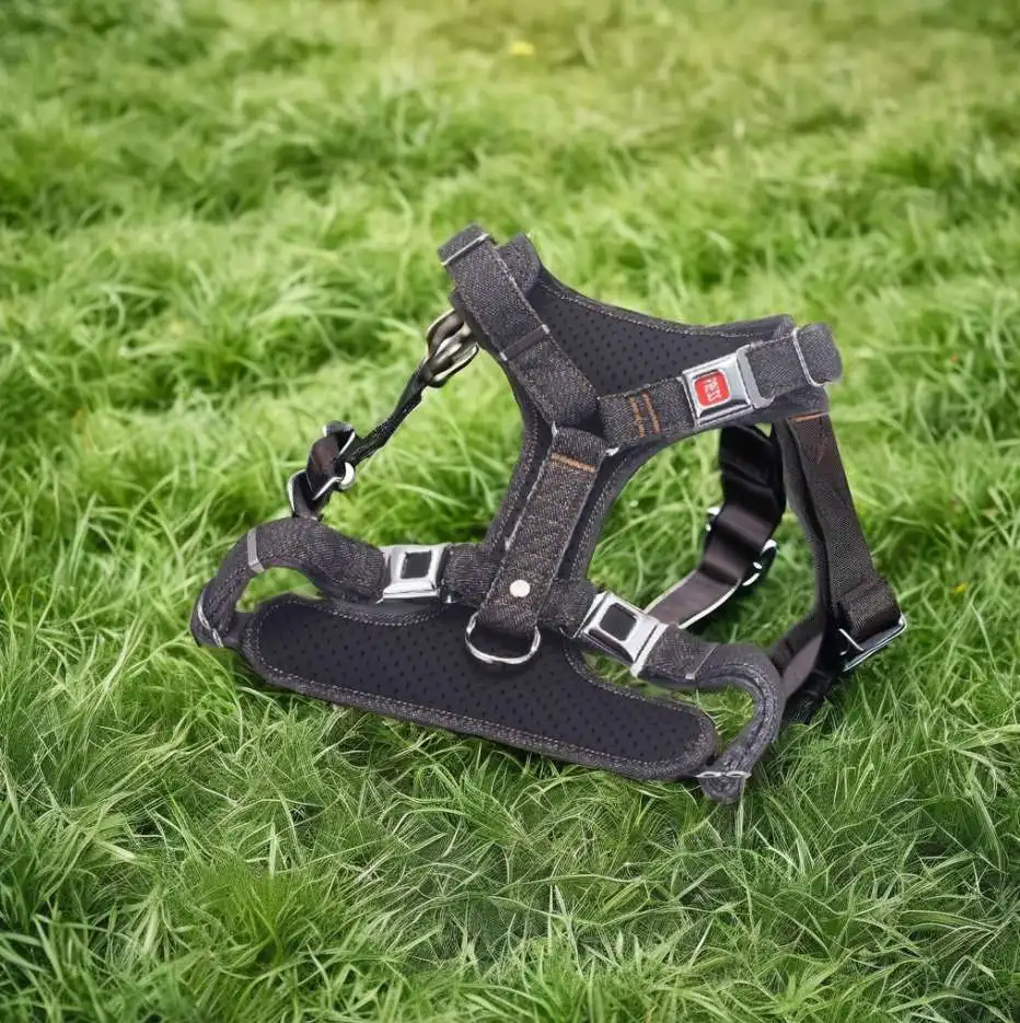 pet leather collar strong metal buckle soft