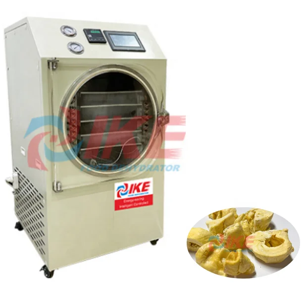 Home Use Freeze Drying fruits and vegetables Food Dehydrator  Vacuum Freeze Dryer Machine