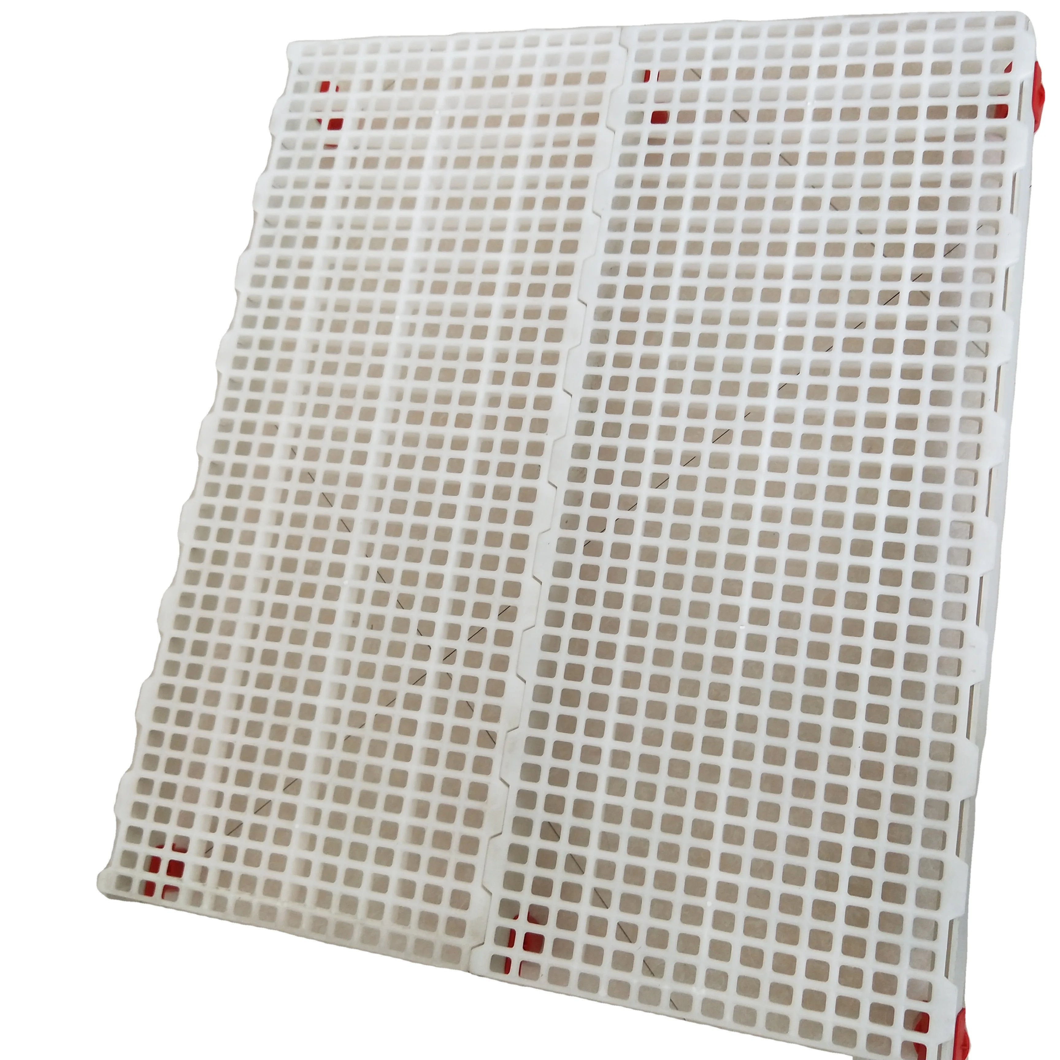 Plastic Floor Slat For Chicken and Duck Pig House in Poultry Farm