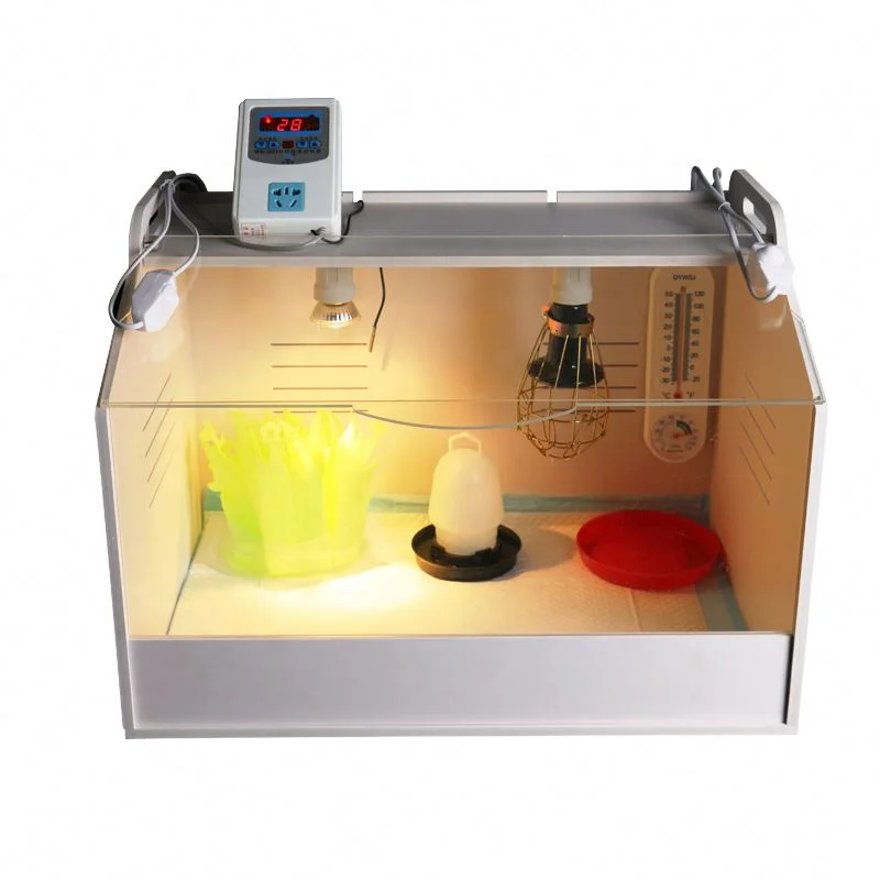 Chicken Incubator Brooder Medium Size Quail Bird Incubator Farm Crawl Pet Brooder