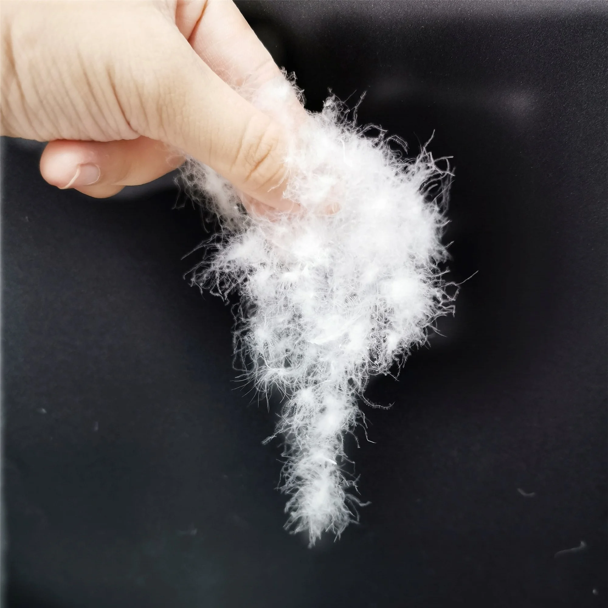 Washed eider duck down from Wuchuan , down fill for bedding comforters with factory price