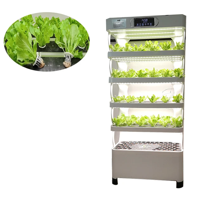 House vegetable planting auto pot system hydroponic