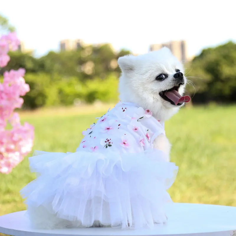 2024 cotton custom  luxury xxxs girl dog clothes summer cute dog dress luxury pet clothes for small dogs apparel