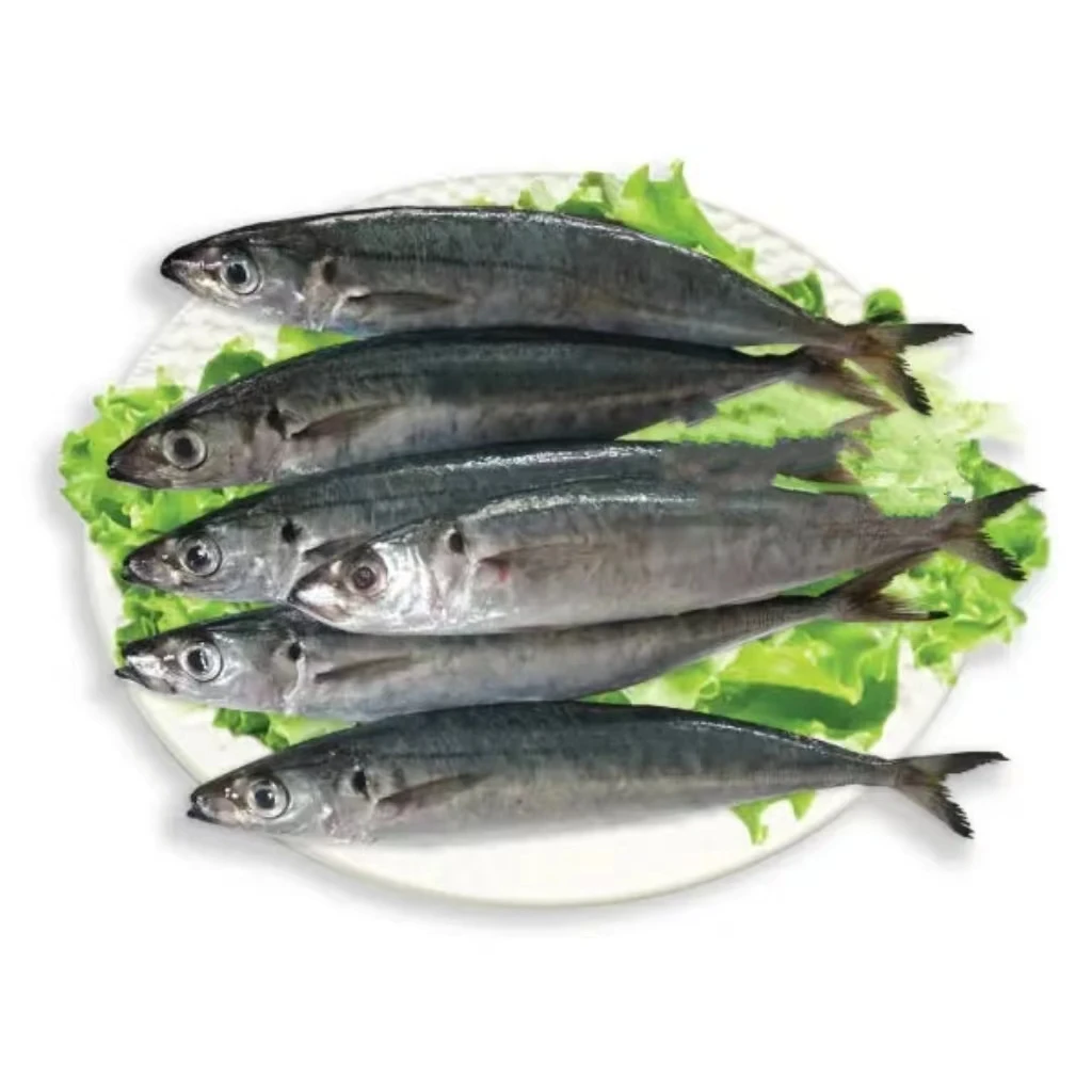 Wholesale Fresh Frozen Round Scad Horse Mackerel from China Good Quality