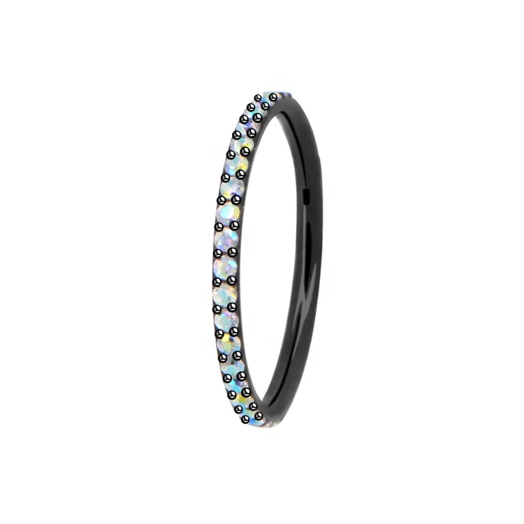 G23 Titanium Hinged Segment Rings Nose Rings Nose Hoop Septum Clicker Piercing Jewelry