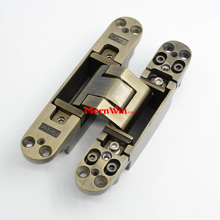 Antique Brass Concealed Door Hinge
