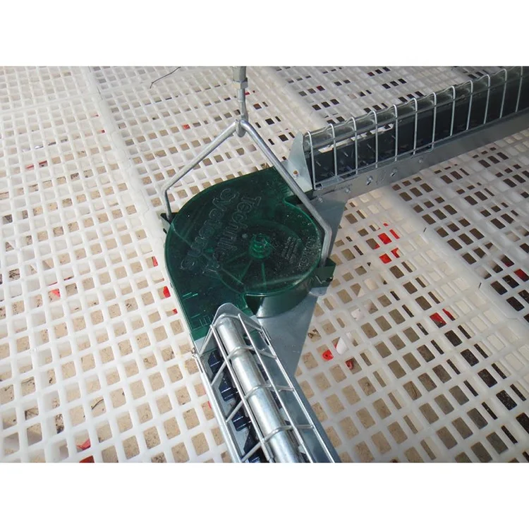 Animal Husbandry Equipment-Poultry Chain Feed System Accessory for Chicken Farming