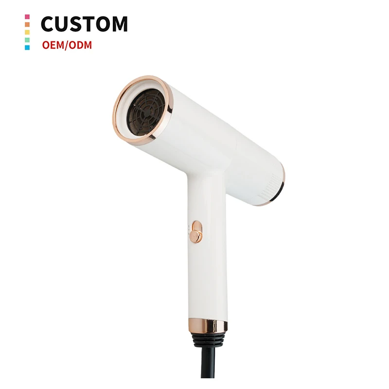 Hair Salon Dryer Machine White Blue Light Dc Motor Blowdryer Hair Dryer For Home