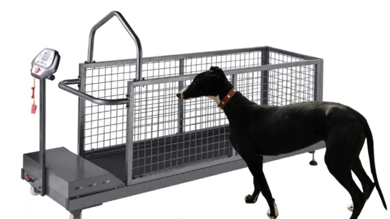 Dog pet low speed rehabilitation treadmill for unweight gait training system