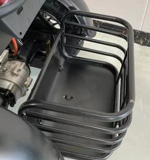 Powerful 600W Differential Motor New Fashionable Electric Passenger Tricycle with 48v Voltage Three Wheels for Adults