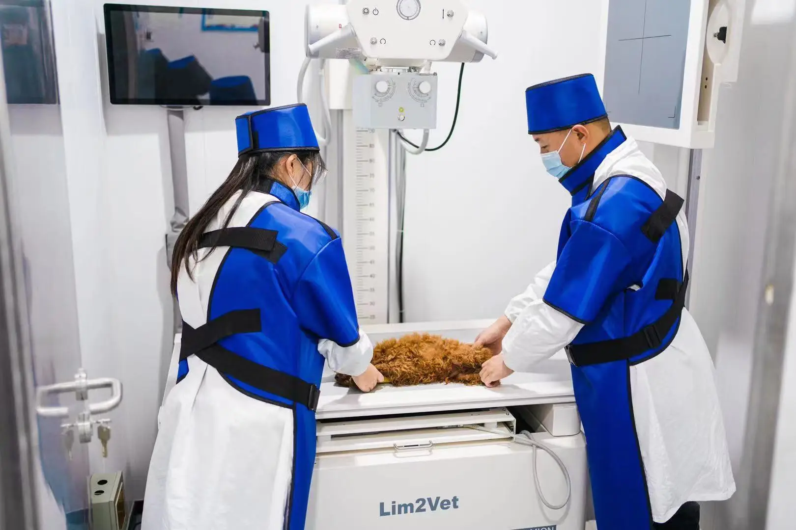 Цифровой Vet DR X-ray стол фиксированный ветеринарный рентгеновский аппарат для собак X Ray машина