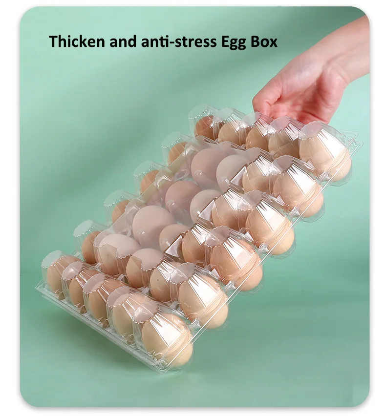 Thickened egg packaging box Disposable plastic transparent preserved egg salted duck egg tray blister storage box