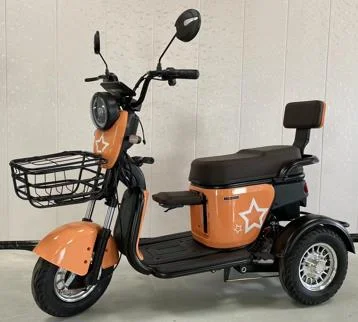 Powerful 600W Differential Motor New Fashionable Electric Passenger Tricycle with 48v Voltage Three Wheels for Adults