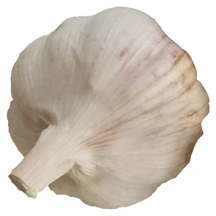 
Fresh garlic new crop bawang putih segar 2021 export to indonesia normal white wholesale garlic 