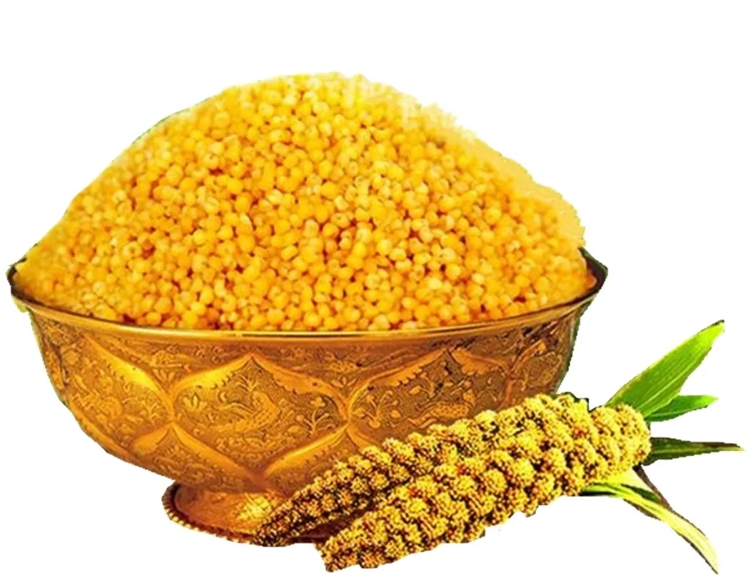 
NEW CROP YELLOW /RED MILLET FROM WEST AFRICA 