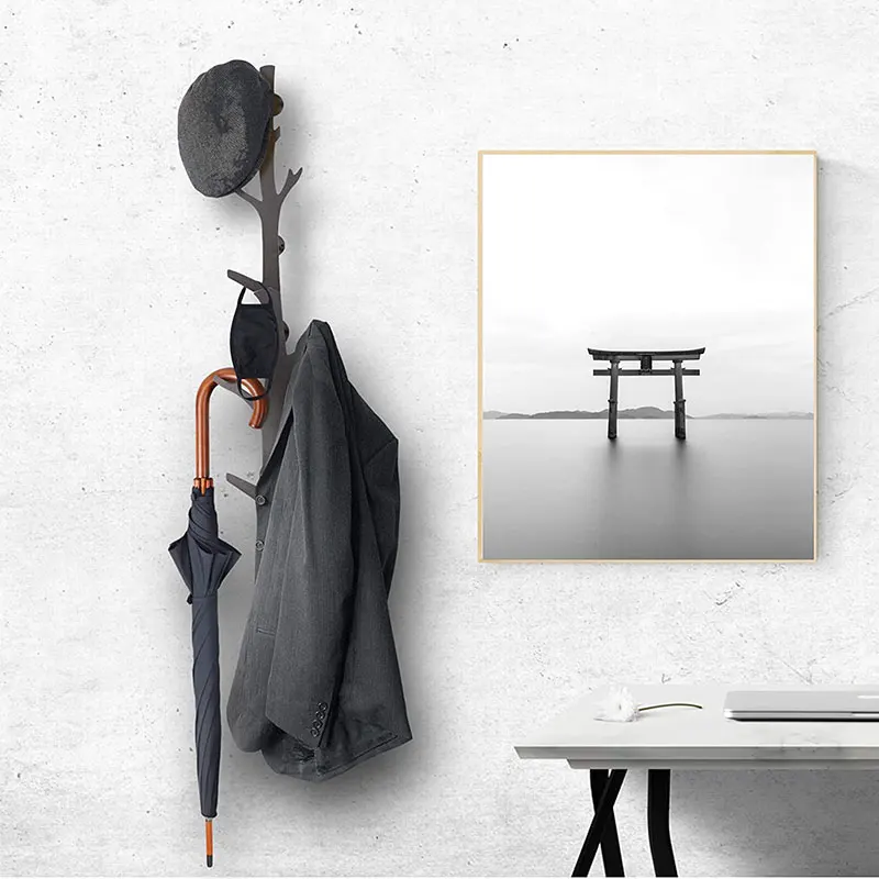 The New Modern Style Black Metal Clothes Organizer Wall Coat Hooks And Hangers