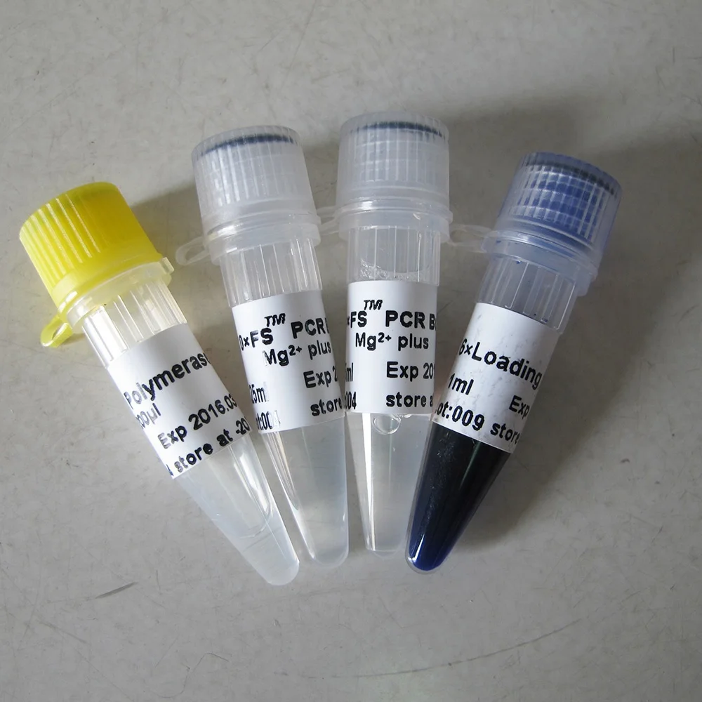 FS PCR Taq DNA Polymerase P1071-P1072-P1073-P1074