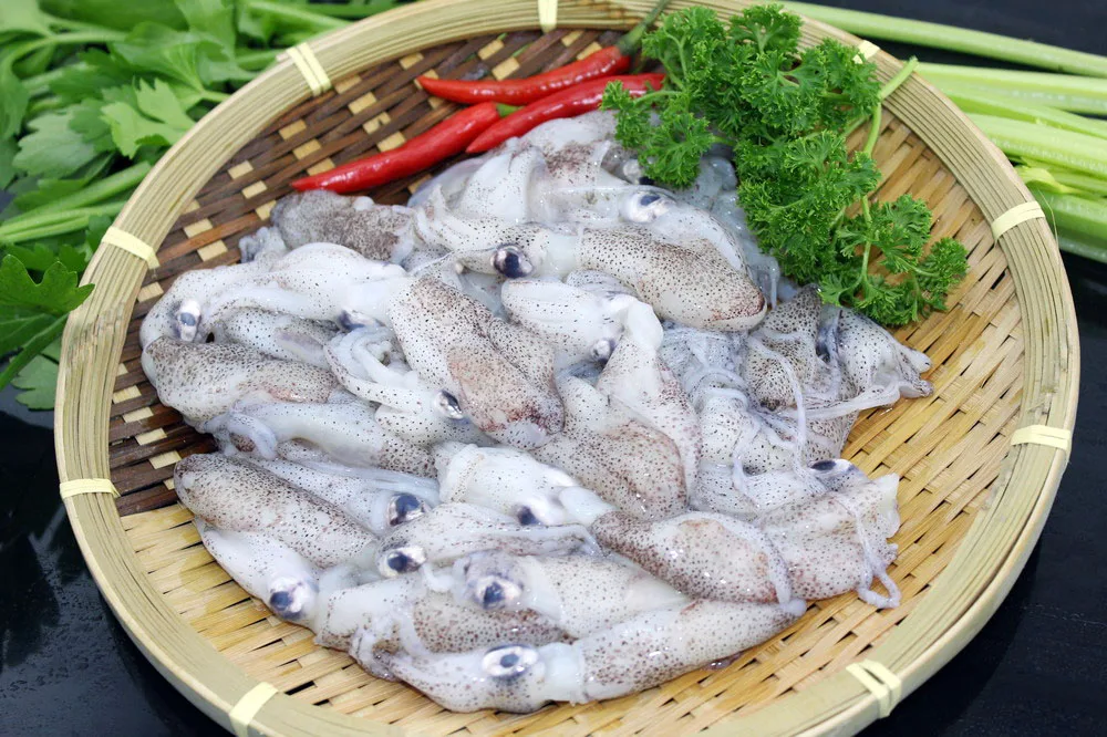 
seafood Frozen squid 5-7cm loligo Whole Round baby squid 