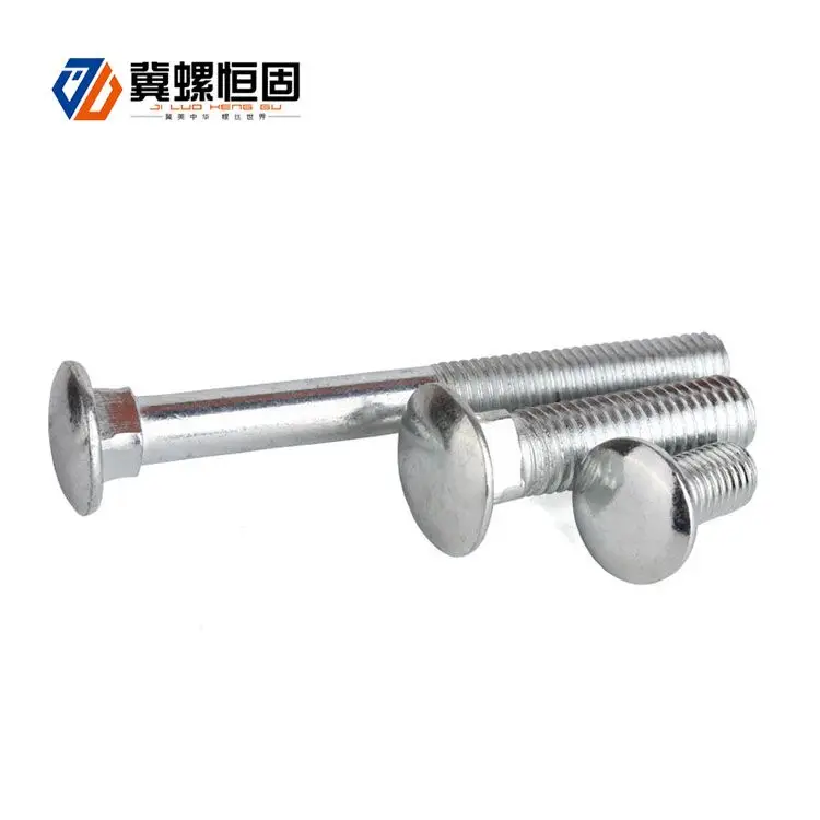 China OEM Stainless Steel Door Hardware Carriage Bolt screws