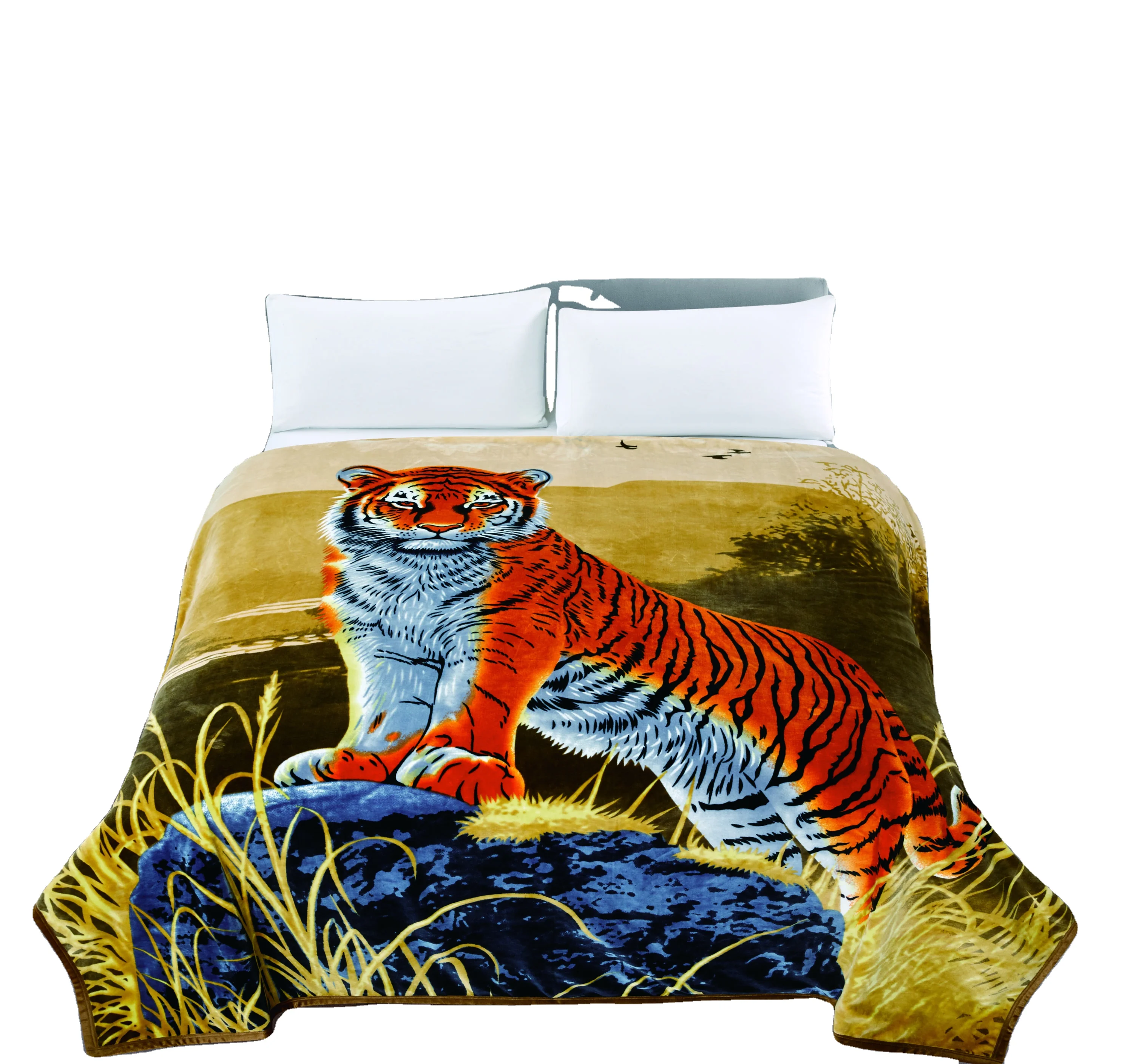 Anyu Animal Printed MOQ 1 Cheap Price Double Layer 210*230cm 400+400 GSM 100% Polyester Flannel Blanket in Stock Tiger Printed