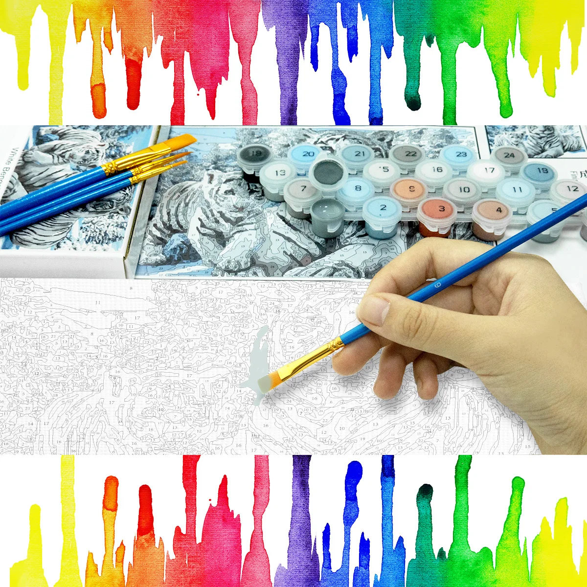 Factory Paint by Numbers Kit for Adults on Canvas with Paintbrush Color Acrylic DIY Drawing Premium Quality Colorwork Paintwork