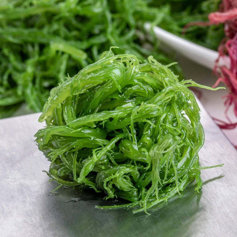 Производитель предлагает питательные безвредные органические морепродукты соленые