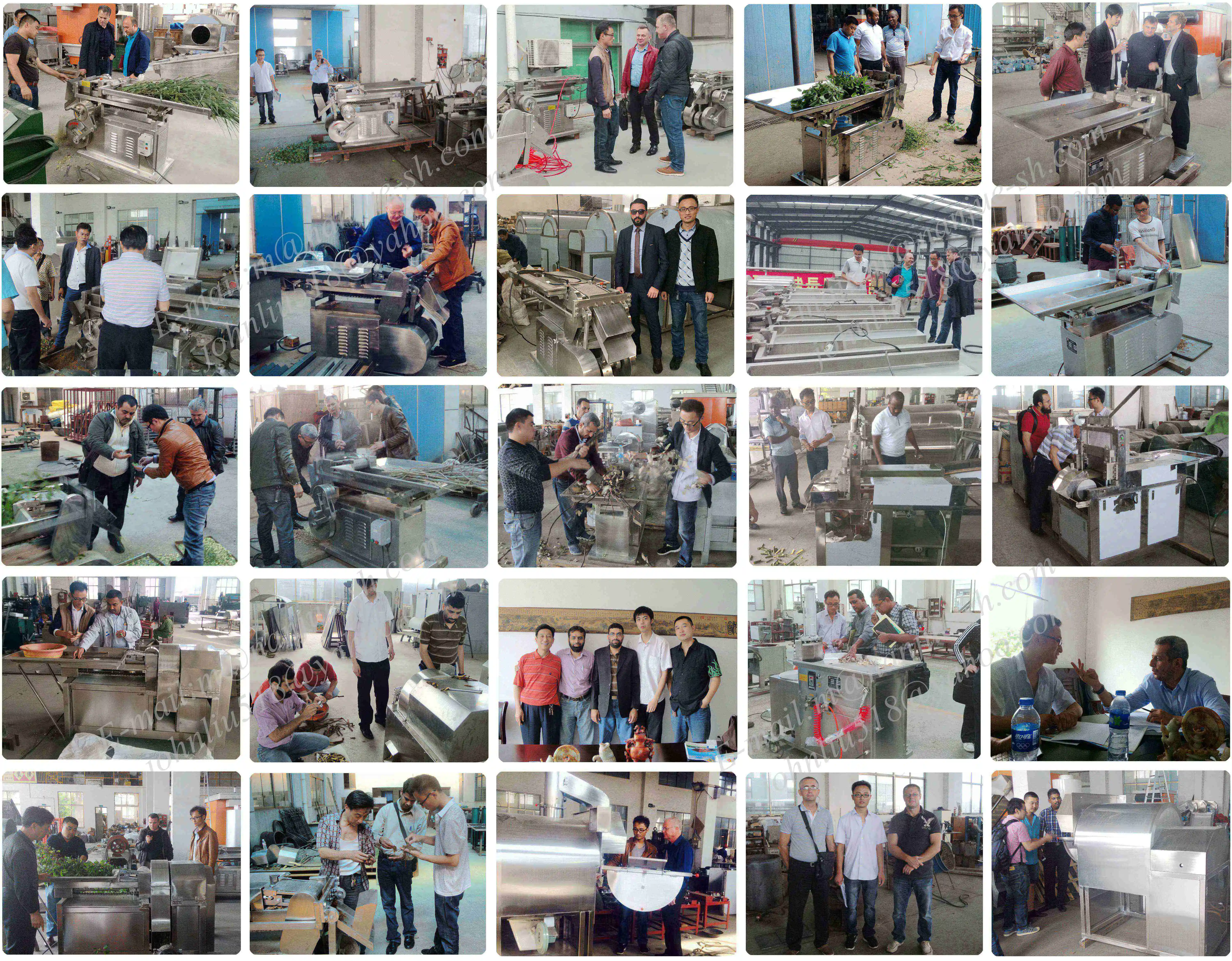 
QYJ-200 licorice kava root cutter machine herbal tea leaf lemongrass herb seaweed cutting machine 