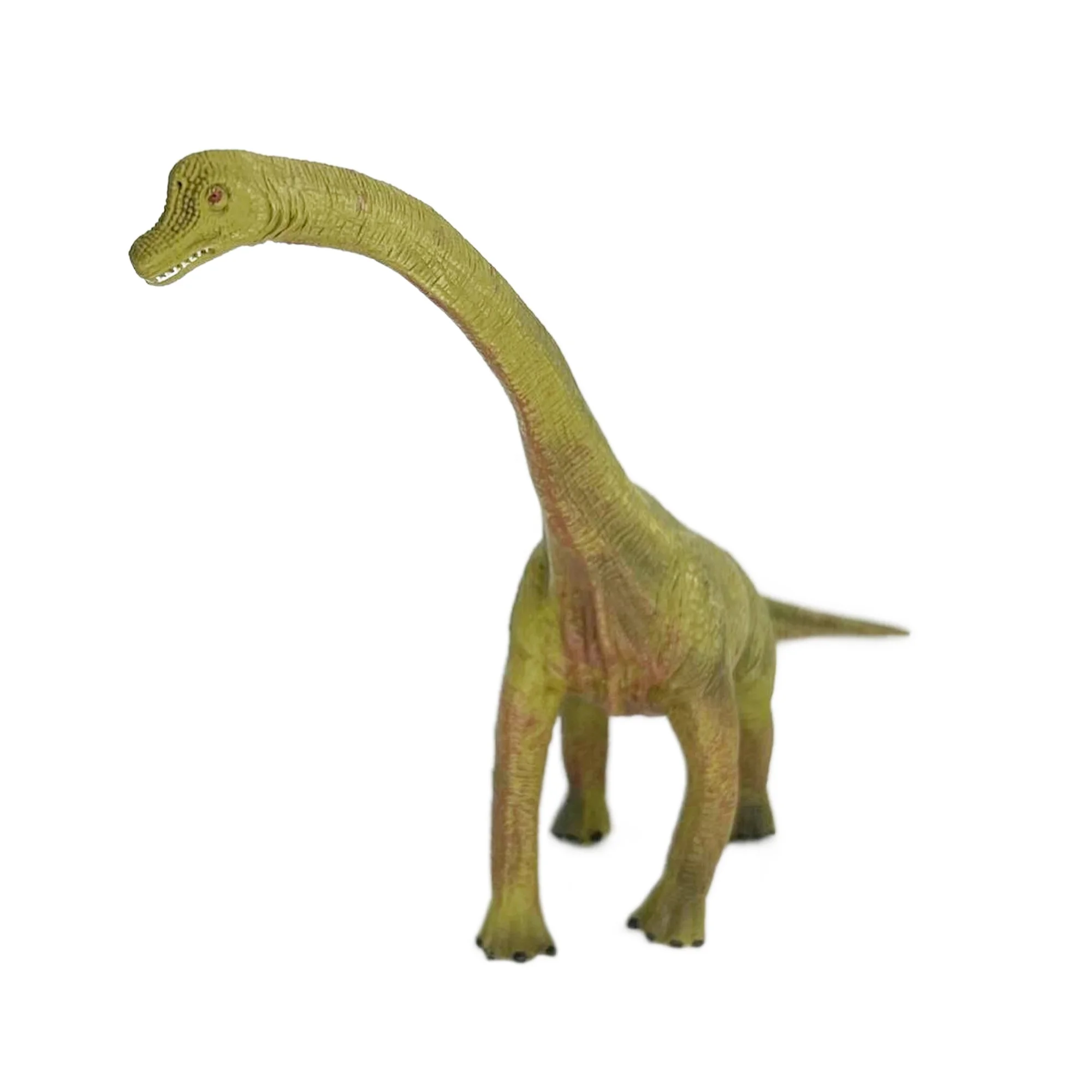 Animal Toys Dinosaur Figures Toys Realistic Dino Action Figure, Brachiosaurus  Green  Plastic Toys, Educational Play