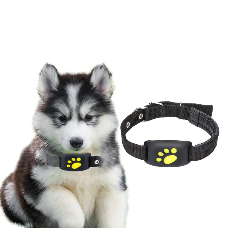 New Design Wholesale Extended Range Oem Golden Supplier Sim Card Pet Tracker