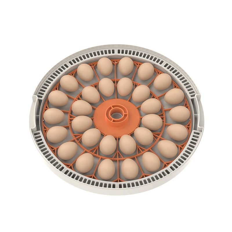 Hhd Quail Cage Egg Large Capacity Egg Incubator Pet Supplies And Equipment Plucker Innovative Products Ozone Generators
