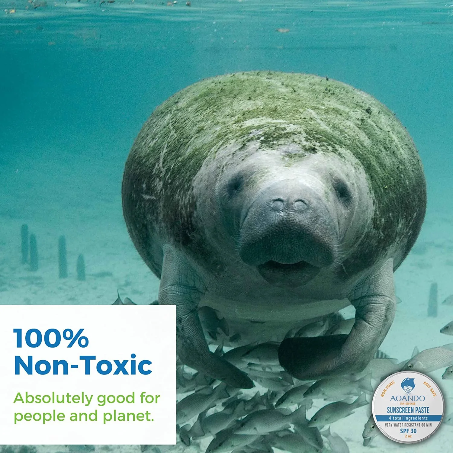 Zinc Oxide Sunscreen Paste Children Skin Care Manufacturer Custom Hawaii Reef Safe for Sensitive Skin Face Kid Minerals Sunblock