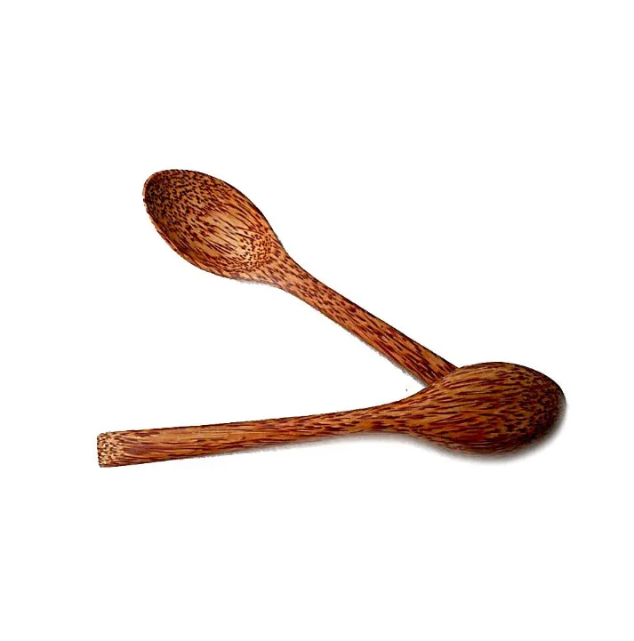 Wooden Coconut Palm Spoon