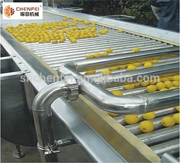 
High Quality Olive Sorting Machine for Sale Multifunctional Sorting Conveyor Machine with the Lowest Price 