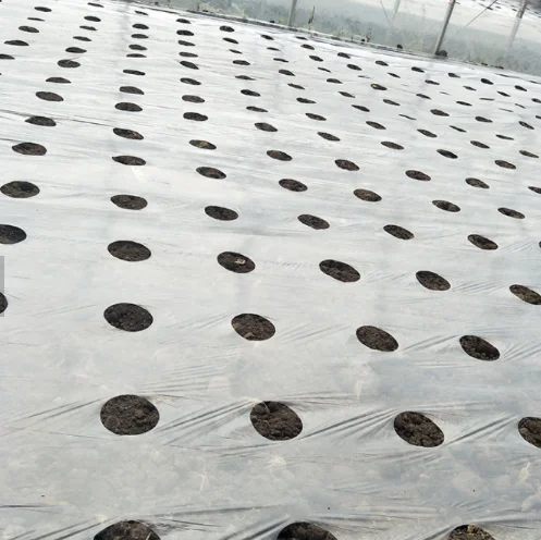 biodegradable eco-friendly agricultural plastic compostable mulch film