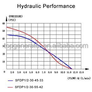 CE Certified FL33 - Series Automotive Industrial Water Pressure Pump / Power Plug for Wall Outlet - 115V