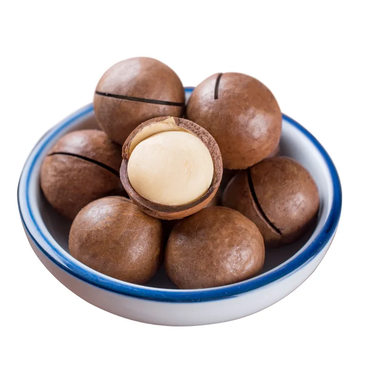 Орехи макадамии лучшего качества напрямую от оптовых поставщиков по хорошей цене