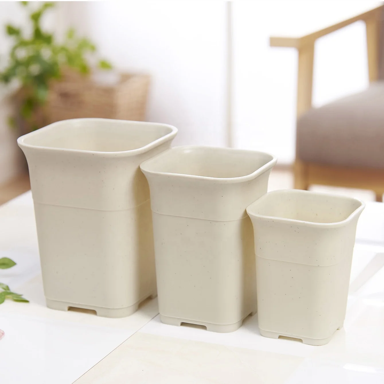 Buy Tall Square White Black Plastic Succulent Planters Haworthia Maughanii Flower Pot