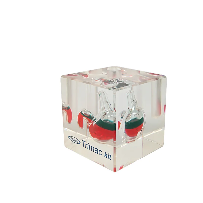 Custom Transparent Acrylic Cube Clear Resin Gift Crafts Acrylic Stomach Paperweight Gifts For Doctors
