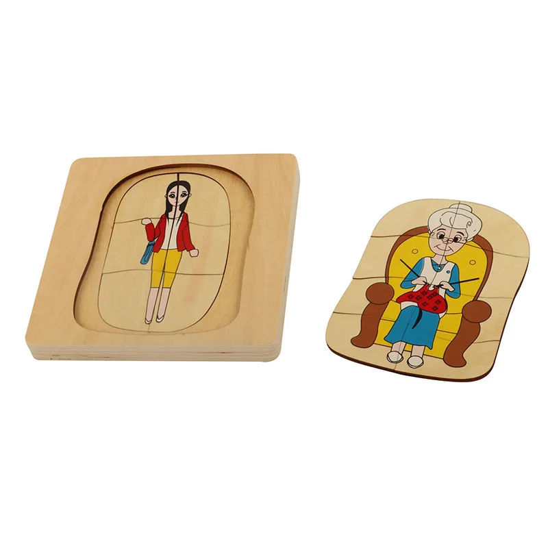 BO065 Development of Woman  montessori biology equipment materials wooden block educational toys montessori for kids