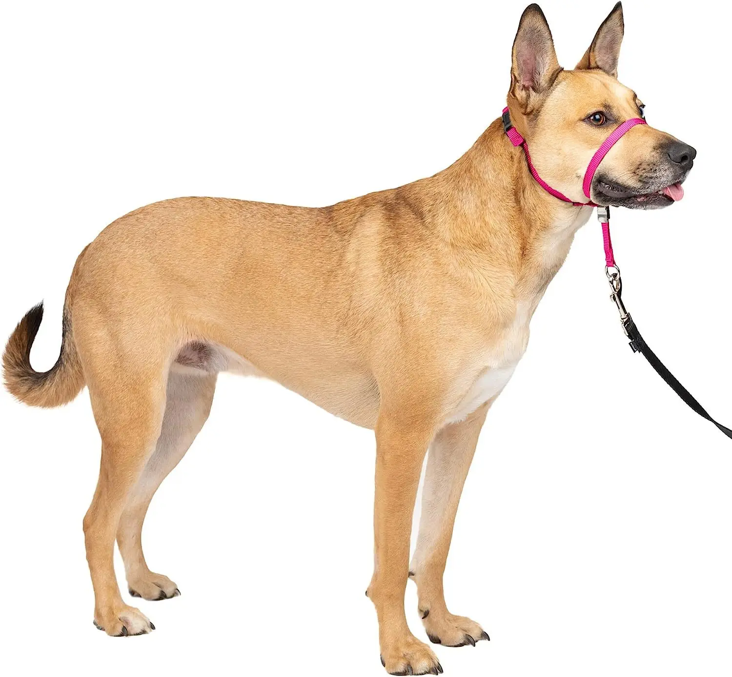 Wholesale Dog Muzzle Gentle Leader No-Pull Dog Headcollar Adjustable Anti-Barking Biting Dog Leash and Muzzle