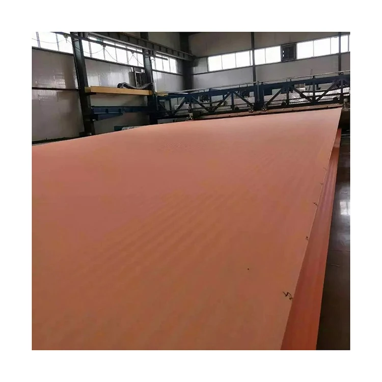 Power plant desulfurization mesh belt Industrial vacuum filter cloth