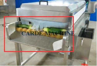 Continuously parallel brush roller fruit root vegetable cleaner washing machine for potato radish carrot lotus