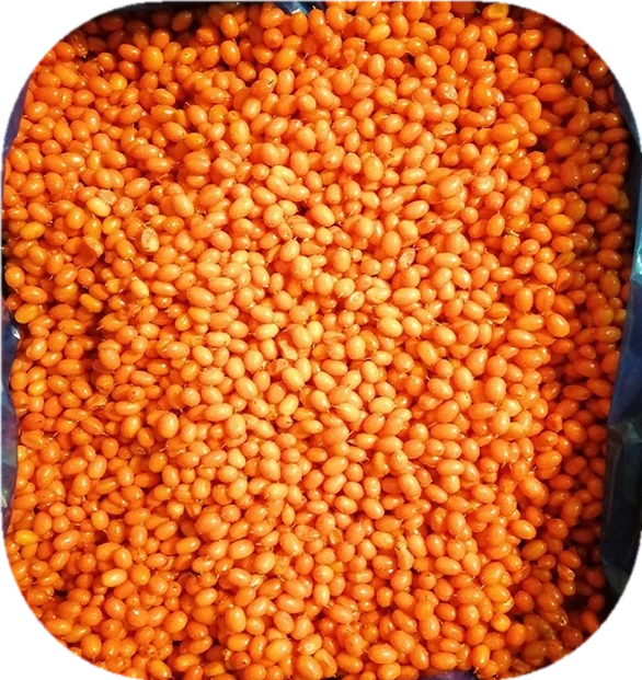 
Brc Certified IQF Berries Fruit Frozen Sea Buckthorn IQF Sea Buckthorn china origin 