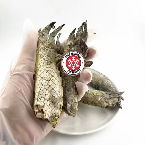 10Kgs MOQ OEM dog food  OEM Freeze Dried Beef Trachea  pet treat